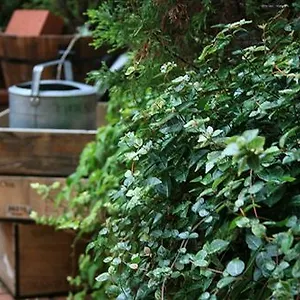 Garden Отель